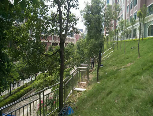 微信圖片3_副本.jpg 微信圖片3_副本.jpg