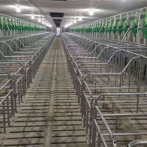 五金制品養殖場飼料輸送管道使用場景