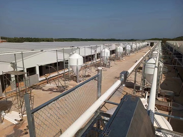 養殖場不銹鋼圍欄 養殖場不銹鋼圍欄