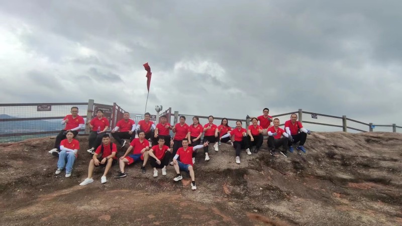 登上頂峰 登上頂峰